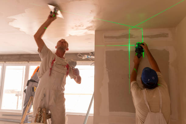 Best Mold Damage Restoration  in Homestead Meadows South, TX