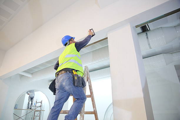 Best Post-Construction Mold Inspection  in Homestead Meadows South, TX