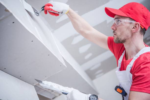 Mold Odor Removal Services in Homestead Meadows South, TX